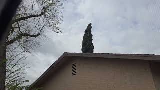 1:21pm Mar 30, 2025 - Gusty Windy SSE Winds & Mostly Cloudy