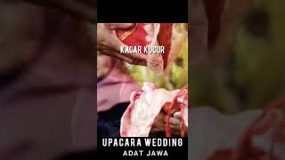 Prosesi Upacara Adat Pernikahan Jawa