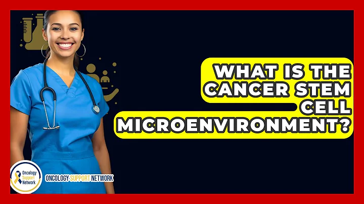 What Is The Cancer Stem Cell Microenvironment? - Oncology Support Network