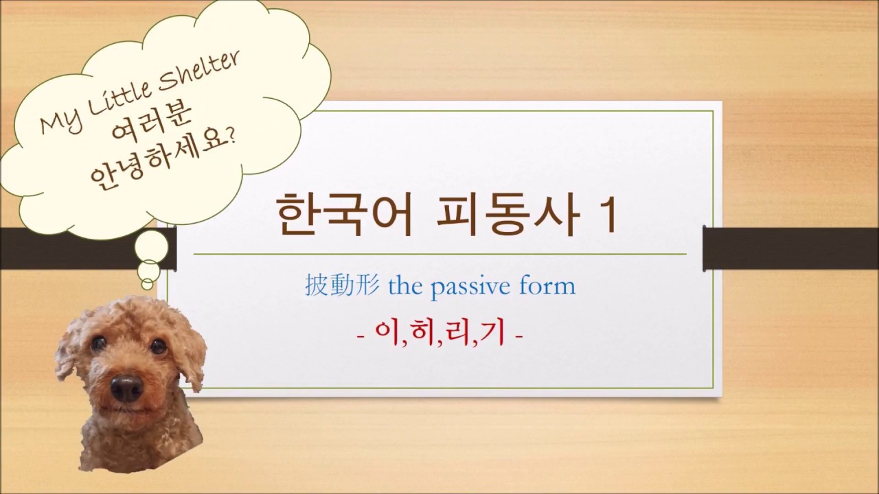 The passive form 한국어 피동사1 ( -이,히,리,기- ) My Little Shelter - YouTube