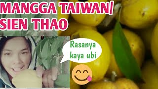 Mangga ubi rasanya manis seperti ubi