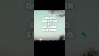 Joseph Goldstein on Self and Suffering #Buddhism #spiritualwisdom #nonself #podcast