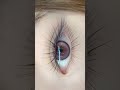 LJ + LB Lash Combo Effect | The Secret to Soft & Wispy Lash Sets #lashartist #lashmapping #lashcurl