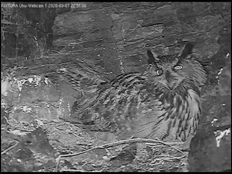 Eifel Lotte Out for Food March 7 2020 live cam preview