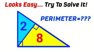 The Clever Math Trick Behind This Simple Triangle Puzzle! | (Perimeter) 