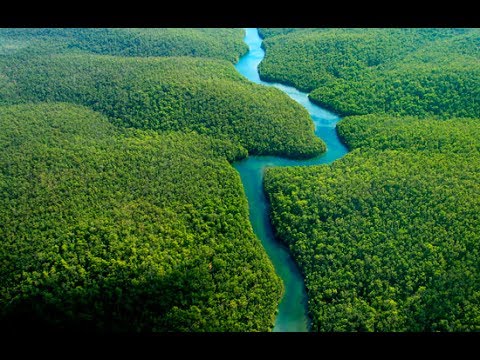 Амазонка Hd Самое Красивое Видео