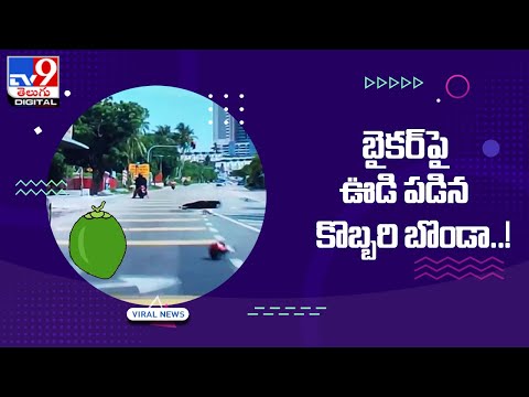 బైకర్‌పై ఊడి పడిన కొబ్బరి బొండా..! - TV9