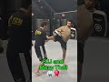 Muay Thai and BJJ Together! 🥋🥊 #reels #2026reels #2026shorts #2026 #shorts #shortsfeed #muaythai