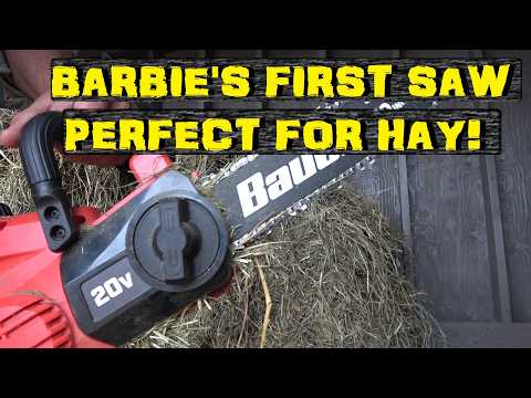 Harbor Freight Chainsaw is not totally useless?!