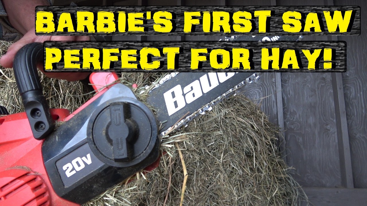 Harbor Freight Chainsaw is not totally useless?!