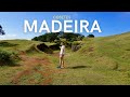 MADEIRA 🇵🇹 | DELFINES, BALLENAS, CRISTO REI, PISCINAS PORTO MONIZ, FANAL y COMIDA TÍPICA | COSETES