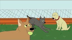 Austin Pets Alive dog walking procedure Animation.