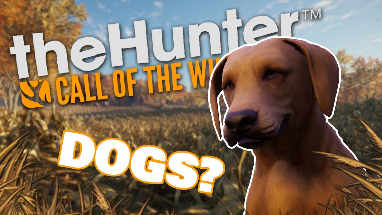 BZNews: #29! DOGS?! New Hints REVEALED!! | theHunter: Call of the Wild