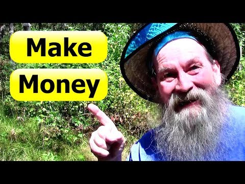 Video: How To Make Money In The Countryside