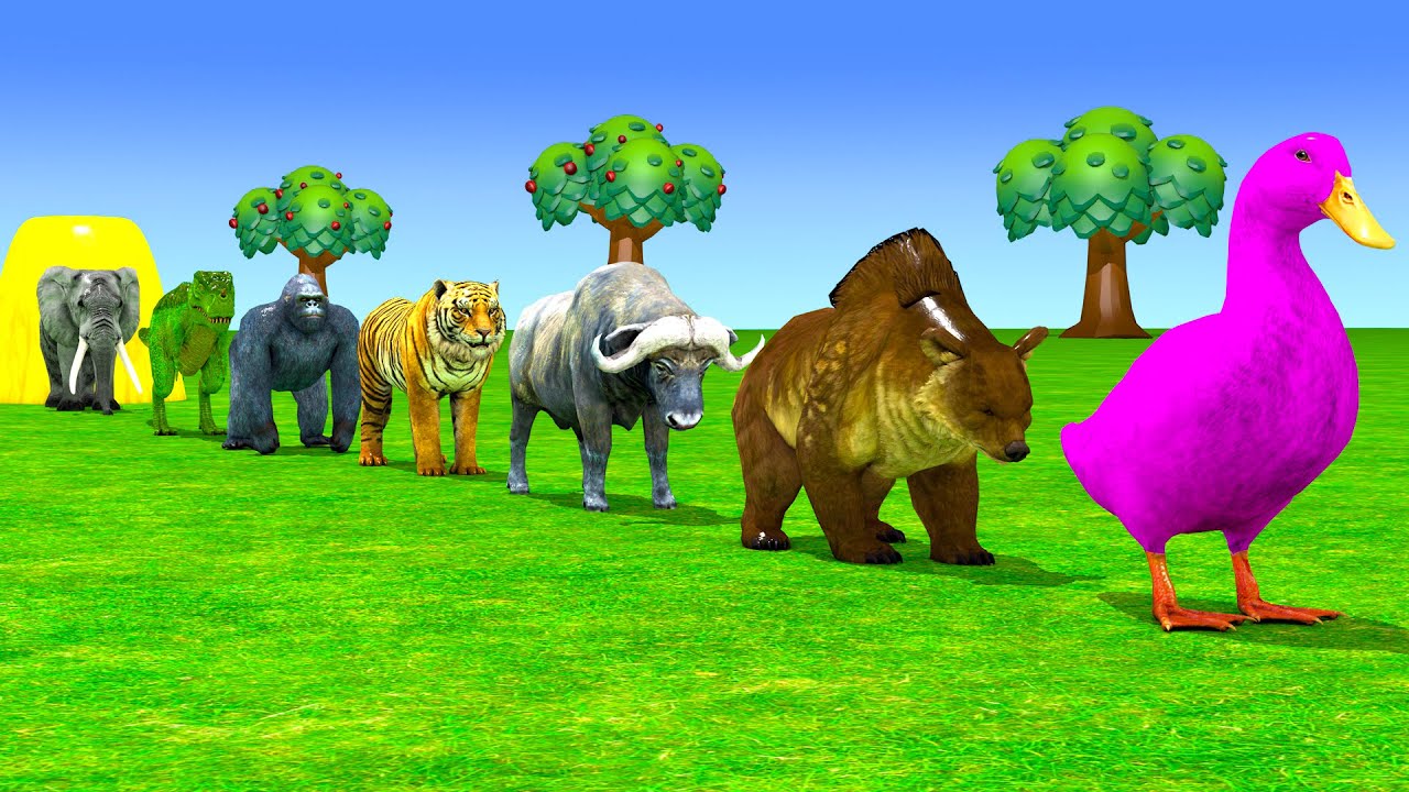 Long Slide Game With Cow Elephant Gorilla Hippopotamus Tiger 3d Animal Game Funny 3d Animals