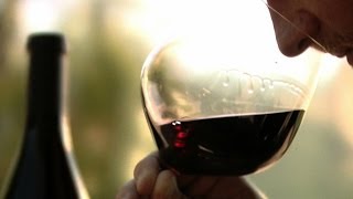 Pinot noir: the holy grail of wine is a true story adversity,
struggle, and love between toughest grape - noir, man whose passion
for pino...
