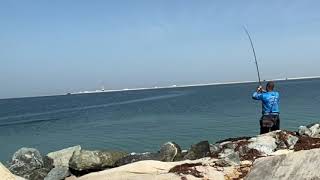 Salty knot team - garfish catch