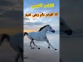اجمل ما قاله الشاعر النعيمي في مدح النعيم كل شي نعيمي يثبت وجوده
