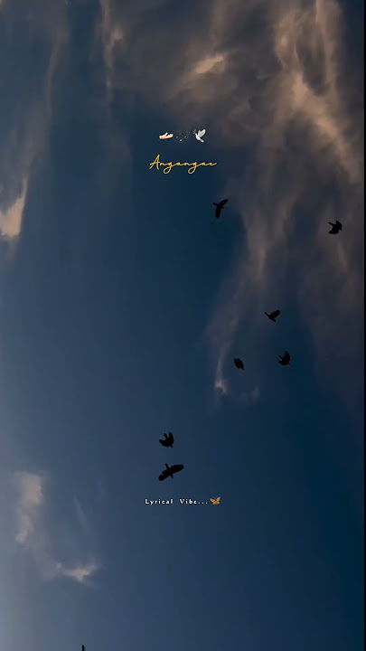 Naetru Aval Irundhal | Maryan | lyrical Vibe 🦋#arrahman #dhanush #tamilwhatsappstatus #status #new