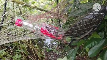 đăng video thì không có view đi thăm lộp cá thì không dính thật là vãi chưởng các bạn à #xunghuong