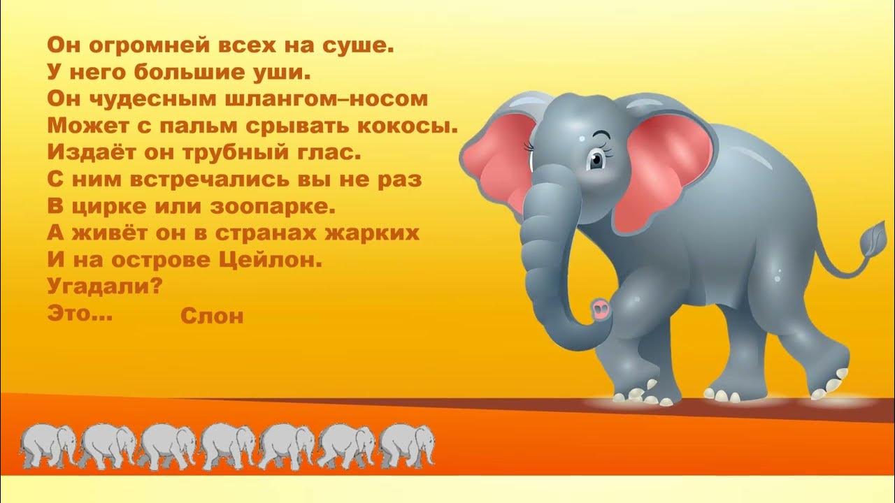Фонд добрый слон отзывы. Добрый слон. Большой и добрый слон. Удивительный слон песня. Добрый слон Козлов.