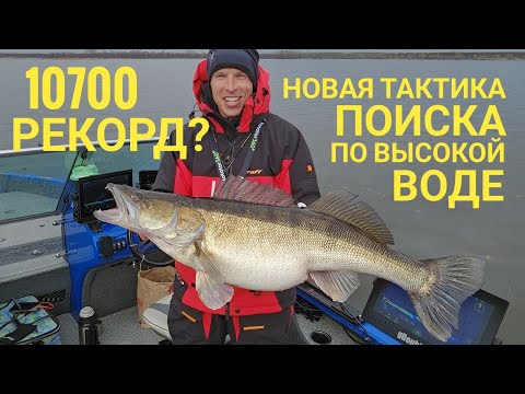 Zander 10+ Useful boat upgrades. A new approach to spring fishing.