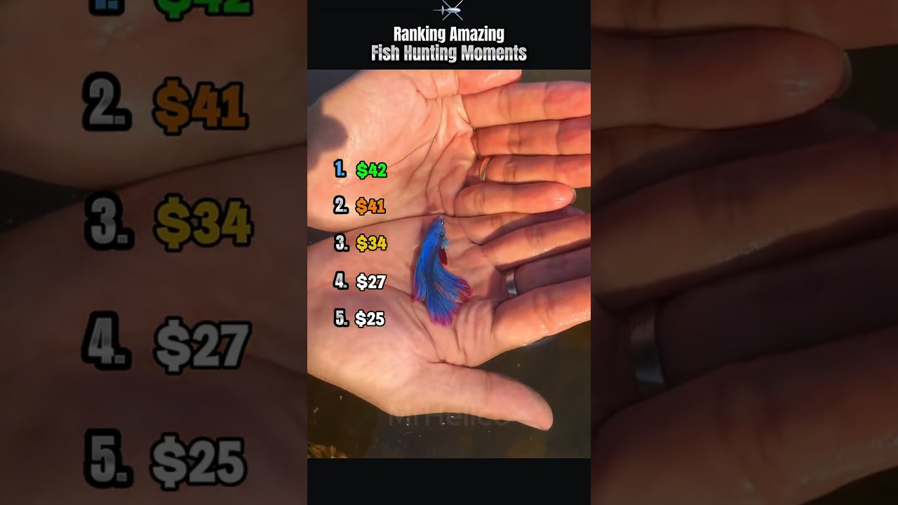 Ranking Amazing Fish Hunting Moments