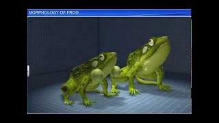 CBSE Class 11 Biology || Morphology of Frog || By Shiksha House