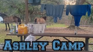 Ashley camp/ Green Swamp free permit camping/Dade City Florida