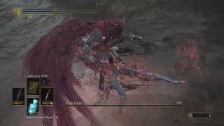 Slave Knight Gael No Dmg Ng+7