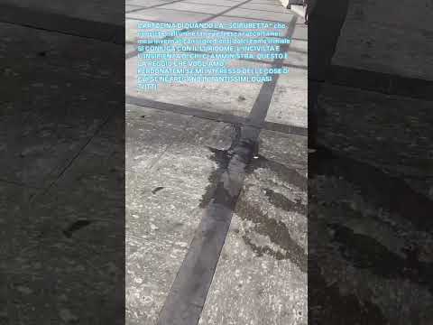 Reggio Calabria, la denuncia di Nuccio Azzarà sulle condizioni di degrado sul lungomare