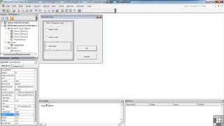 1007 Adding Option Buttons In A Frame