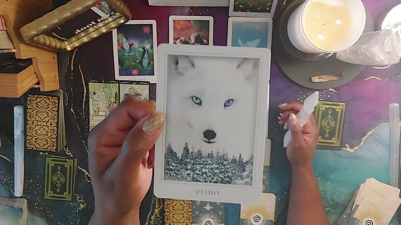 Bump & Grind takes a backseat to Peace✌️| DM/DF Timeless Energy Reading