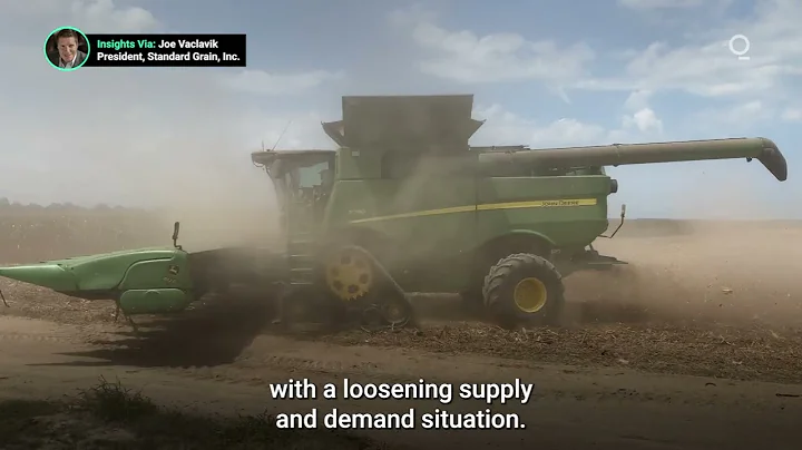 Record US Corn and Soybean Yield Estimates Fail to Materialize