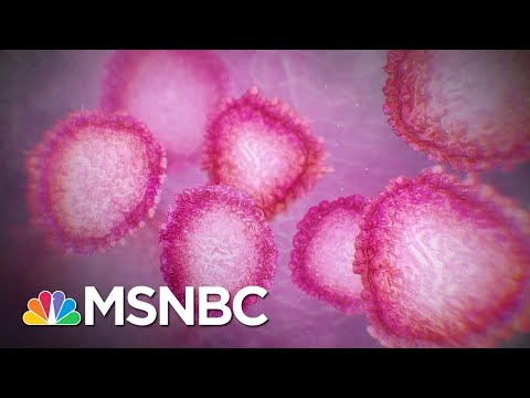 Doc: COVID-19 Damages Lungs Of Patients Showing No Symptoms | The 11th Hour | MSNBC