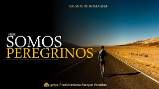 O LOUVOR DOS PEREGRINO. SALMO 134