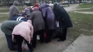 Белорусские  пенсионеры роются в отбросах