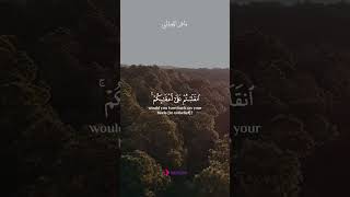 Beautiful Quran Recitation for Deep Soul Healing and Serenity #HolyQuran #HeartTouching