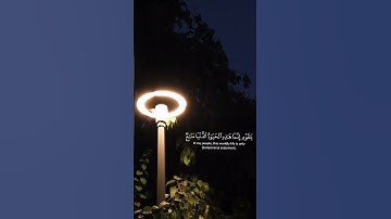 وقال الذي آمن | سورة غافر | محمد صديق المنشاوي