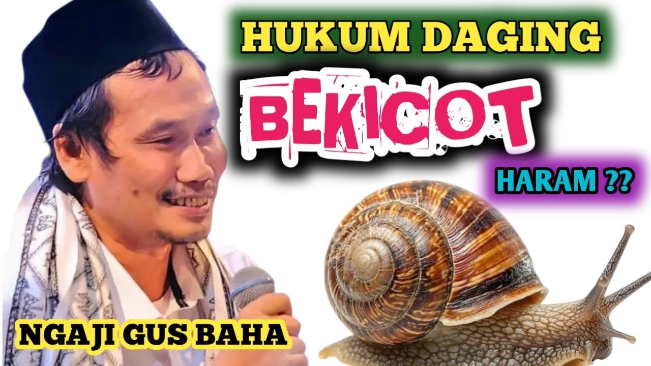 PAHAMI HUKUM DAGING BEKICOT _ NGAJI GUS BAHA