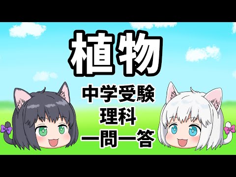 【中学受験/理科】植物の一問一答【ゆっくり解説】