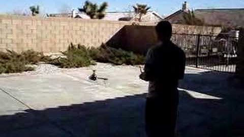 blade 400 hover practice