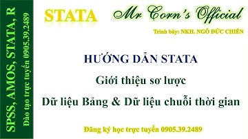 08.02.2023 Hướng dẫn STATA | Giới thiệu sơ lược Dữ liệu Bảng & Dữ liệu chuỗi thời gian