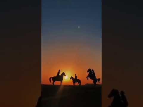 ياناقش الكف بالحنا