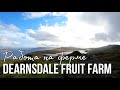 Работа в Англии на ферме Dearnsdale Fruit Farm. Какие условия? Почему перевёлся?