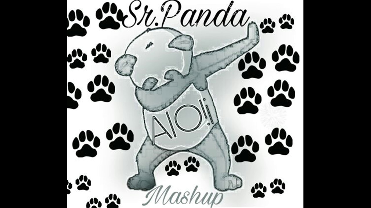 Sr.Panda - AIO!¡ (Mashup)
