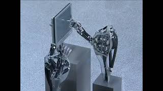Festos Extraordinary ROBOTS That Mimic Biology II BIONIC Learning Network!