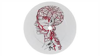 Black Loops - Circulation