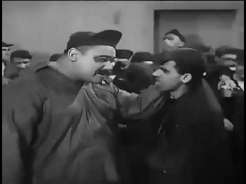 احد احلي افشات انت حطط الشبه بيي العنيي انت مطهضني لا انا من طنطا 