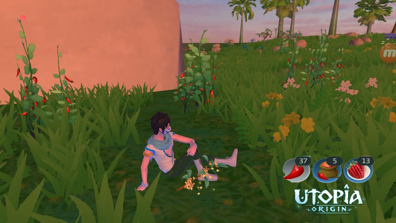 Location Chili Utopia Origin Indonesia 1 YouTube